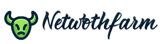 Net Worth