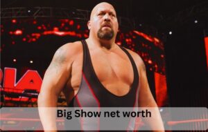 Big Show net worth