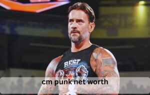 cm punk net worth