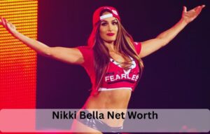 Nikki Bella Net Worth