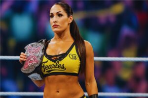 nikki bella divas champion
