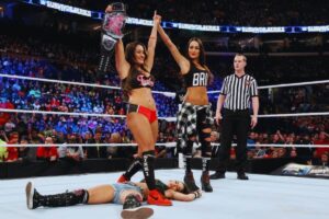 nikki bella vs aj lee